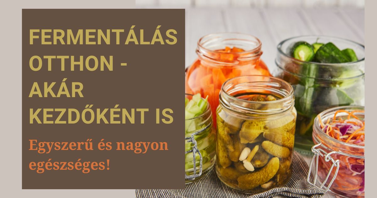 Fermentálás otthon borítókép